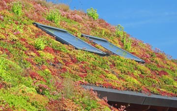 Leyton living roof systems